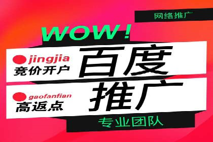 案例研究：SEM推广助力企业业绩增长