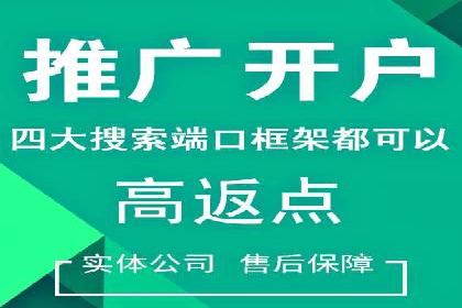 某电商平台信息流广告的精准推广策略